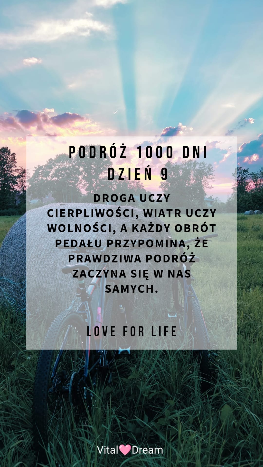 DZIEŃ 9