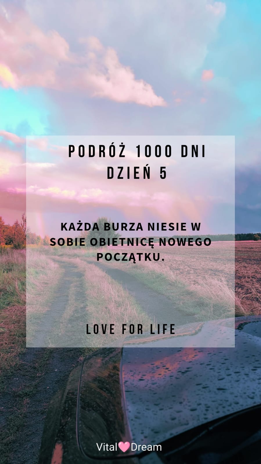 DZIEŃ 5